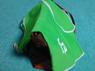 �������ϐ�I