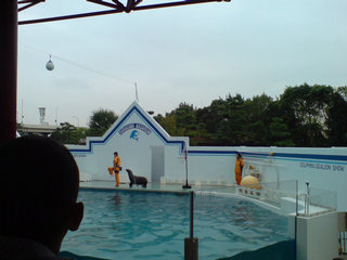 �i�쐅���فB