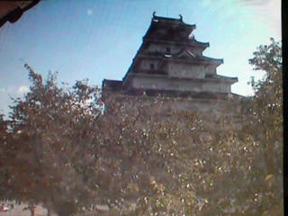 �������܂��N�������̃s���`�\