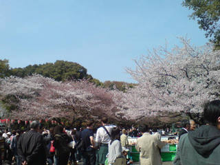 ���������I��肩�c