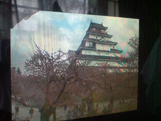 �M������˂��I