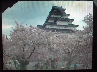 �Ԃ́A���E�E�E