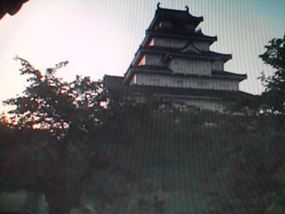 �_�C�G�g�P���ڒ�