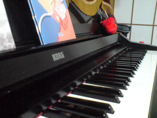 ����ɃV���h�o�b�h