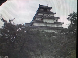 ���̊Ԃɂ����D���Ďn�܂���