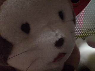 ���܂��邠������