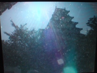 ���ǐQ�V��