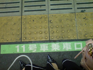 �V���h�C�\�\