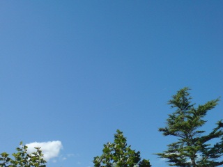 �R�R���I�h����