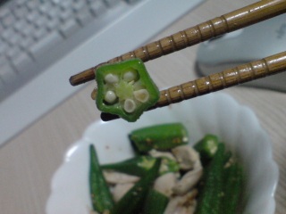 �ܗŊs�X�^�[�I