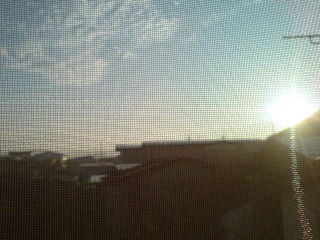 �V�C�ƋC�����C�C��