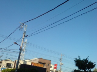 �X�^�X�^�V�傏