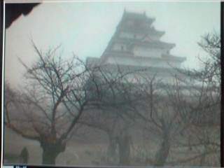 ���C���C�V��