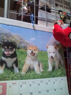 �����̂��