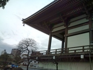 �����Ă��܂��I