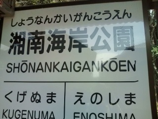 �V�C�������I