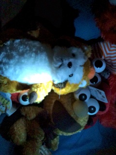 �v�B�B����