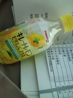 �������p���[